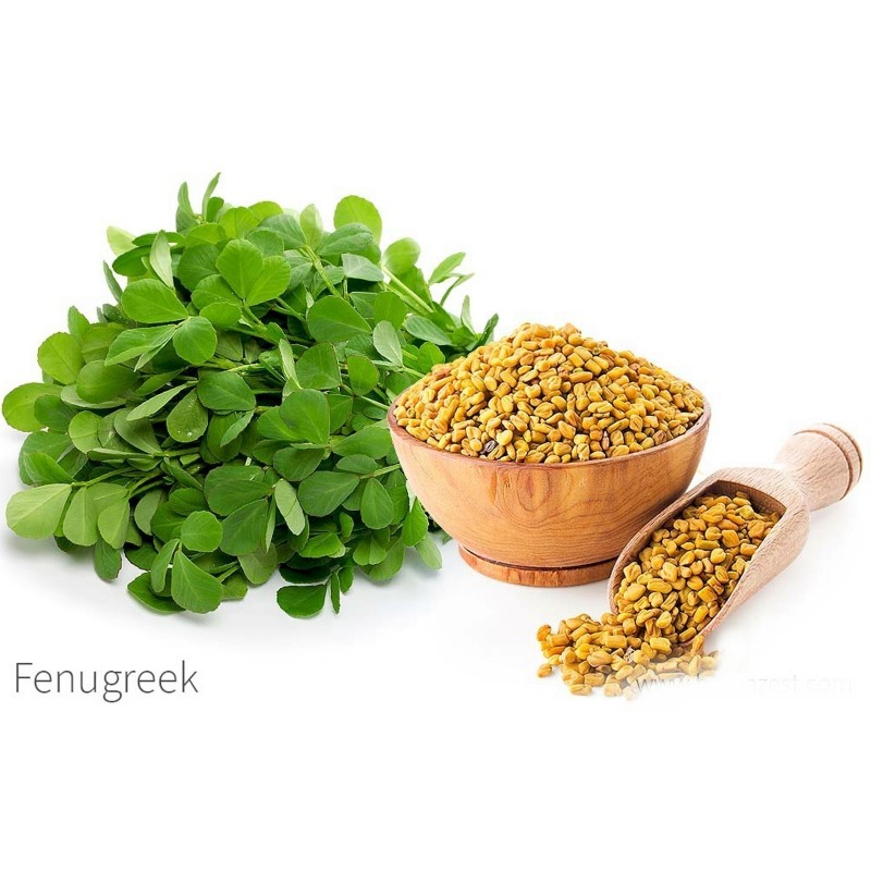 Fenugreek Seeds (Trigonella foenum-graecum) - Cena €1.75